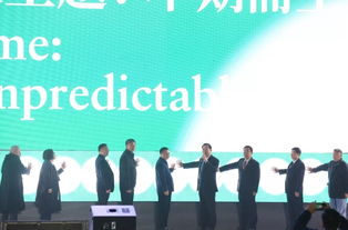 光影交汇，探见未来 2019连州国际摄影年展启幕，观照全球影像艺术生态